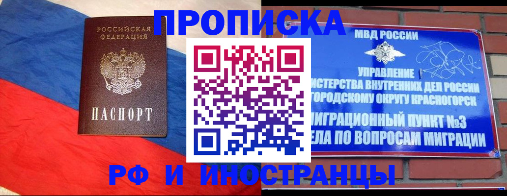 временная регистрация для всех в Опочке